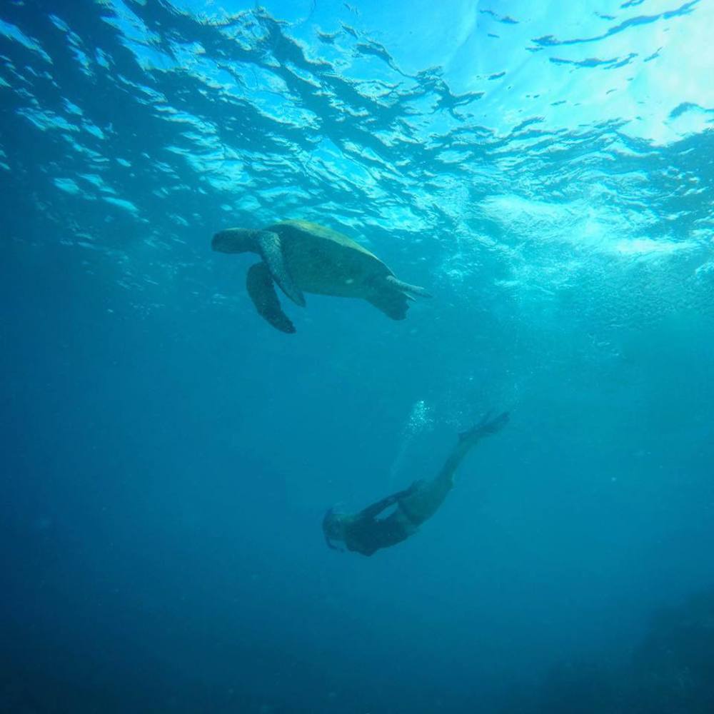 Meet your Posher, Megan